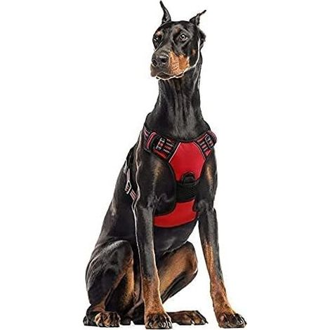 Harnais Chien XL Arnais Rouge Anti Traction Réfléchissant Gilet Réglable pour Chien Grand Taille, Attache Devant Crochet de Laisse pour Trajet Voiture, American Staff, Border Collier-Ensoleillé (1/5)