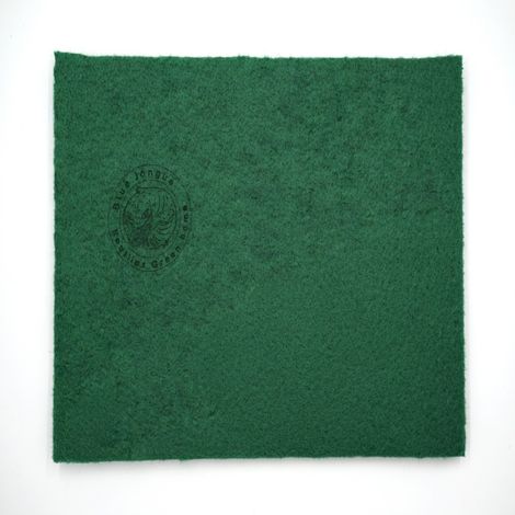 Tapis de fond pour terrarium vert 80 x 40 cm (1/5)