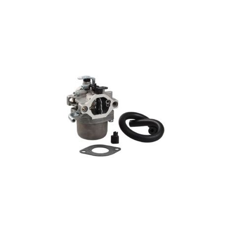 Carburateur compatible avec Briggs & Stratton OE 590399 796077
