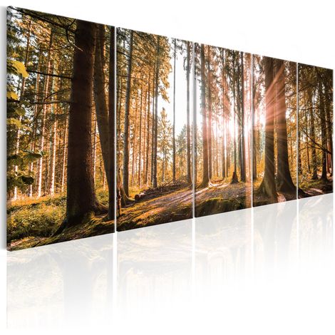 Quadro - Beauty of Nature - 225x90 (1/4)