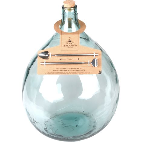 Kit de démarrage pour plante en terrarium en verre et inox - 35L - D 39,9 x H 55,5 cm - Livraison gratuite (1/5)
