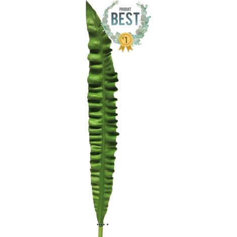 Feuille d'Asplenium artificielle, H 93 cm - BEST (1/4)