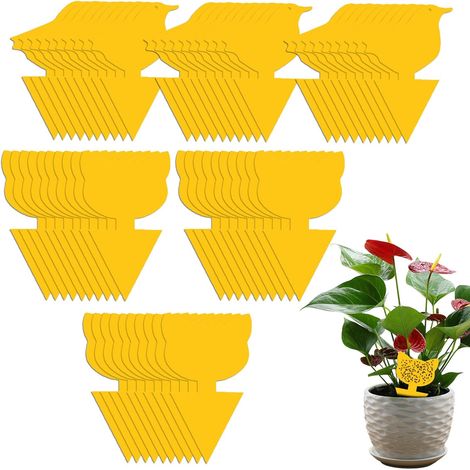 Super Ninja Anti Moucherons Intéri Pièges à Moucherons, Piège Jaune pour Contrôle des Insectes 60 Plaques Solution Efficace Contre Les Moucherons, Mouches et Insectes des Plantes d'