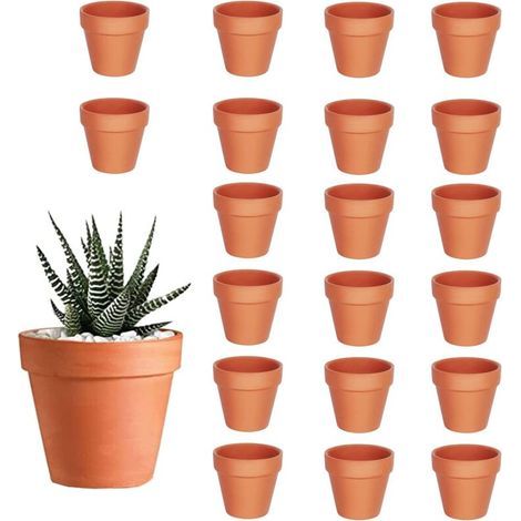 20 Mini-Pflanztöpfe aus Terrakotta, Keramik mit Abflussloch, für Kakteen, Zimmerpflanzen und Sukkulenten im Innen- und Außenbereich (3,5 x 3 cm) (1/5)