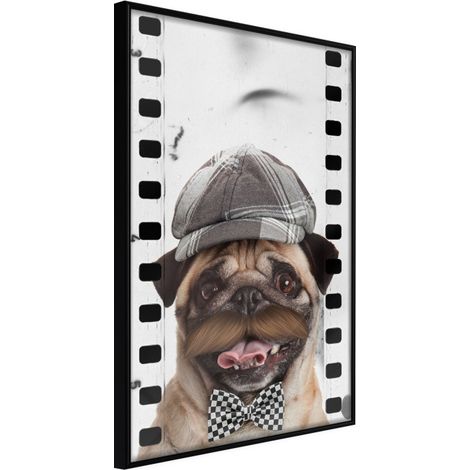 Affiche Murale Encadrée "Dressed Up Pug" 30 x 42 cm Noir