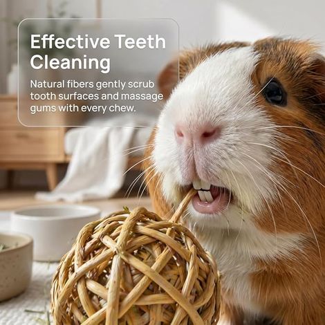 Chew Toys Natural Chew Balls - 6.5-7cm Chew Balls Toys for Hamster Rabbit Guinea Pig Chinchilla - Wicker Grass Rope (1/4)