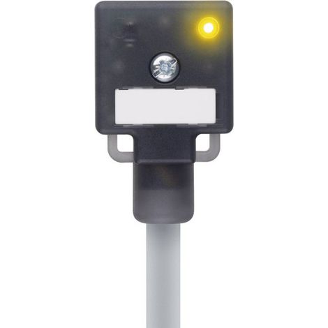 Connettore per valvola forma A Nero VA22-24.3-5/P01 Poli:2+PE bridged 8047821 Escha Contenuto: 1 pz. (1/3)