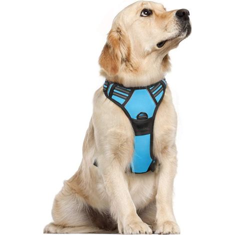 Gilet imperméable pour chien, laisse pour animaux de compagnie, harnais réfléchissant réglable pour chien, bleu ciel (1/5)