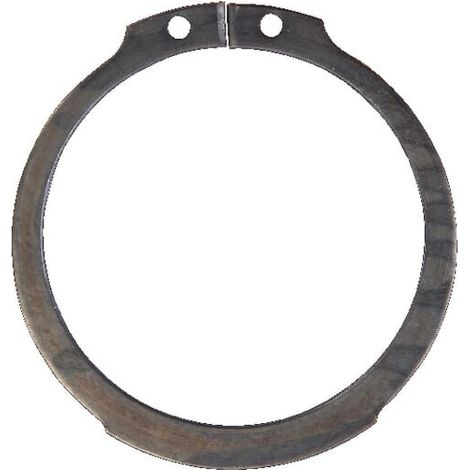 Anillo de retenci贸n externo 50 GREGOIRE BESSON VM009 (1/2)