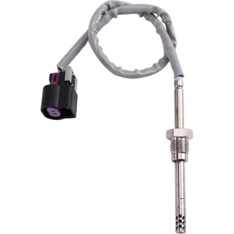 Abgastemperatursensor 12643246 (EGT) für Chevrolet Express und GMC Savana 4500 (2010) (1/5)