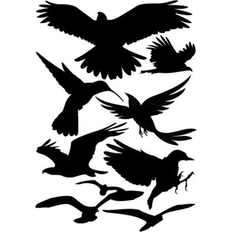 Autocollants décoratifs anti-oiseaux pour voitures - 10 autocollants