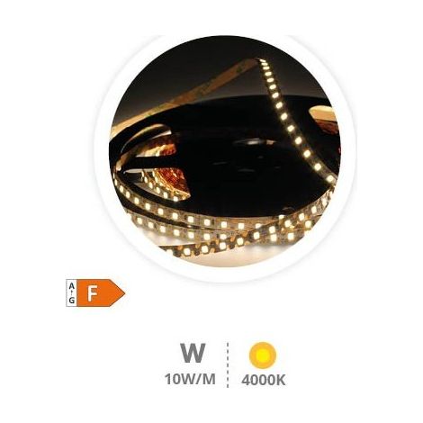 Bande LED en zigzag de 10 m, 10 W/m, 4000 K, 24 V