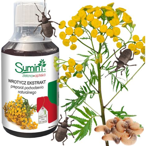 SUM25 Estratto di tanaceto Sumin 250 ml, tanaceto naturale per punteruoli, agente di controllo dei parassiti del suolo (1/5)