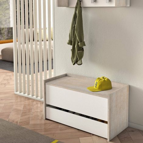 Dmora Arcón Lantana, Mueble de entrada moderno con zapatero, Cofre baúl con dos contenedores, 100% Made in Italy, Cm 90x40h46, Blanco y Roble, con embalaje reforzado (1/5)