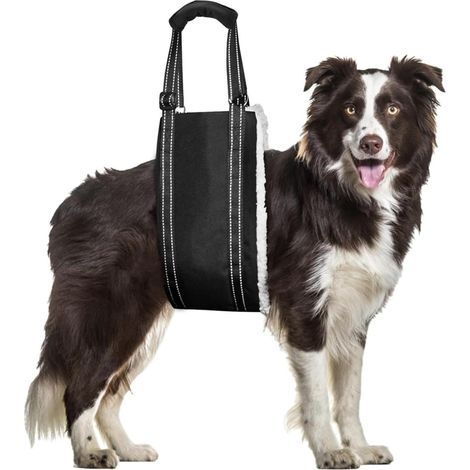 Full Body Carrier, Stair Aid, Dog Carrier, Carrying Strap, Adjustable Carrying Aid, Lifting Harness for Dogs with Movement Problems (1/5)