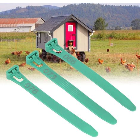 Wiederverwendbare, nummerierte Hühnerringe für Enten, Küken, Tauben und Gänse – Set mit 1–100 Stück – Grün PP (1/5)