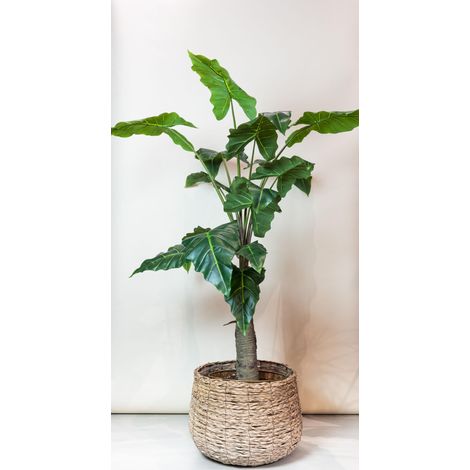 Alocasia Artificiel Oreille d'Éléphant Plante Verte Décorative pour Intérieur 150 cm - PANGIVO (1/5)