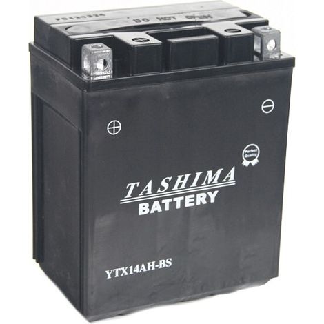 Batteria al Piombo Stagna ad Alte Prestazioni Senza Manutenzione 12V, 12A. L: 134, L: 89, H: 166 mm, + a Sinistra Per Moto, Quad, Motoslitte