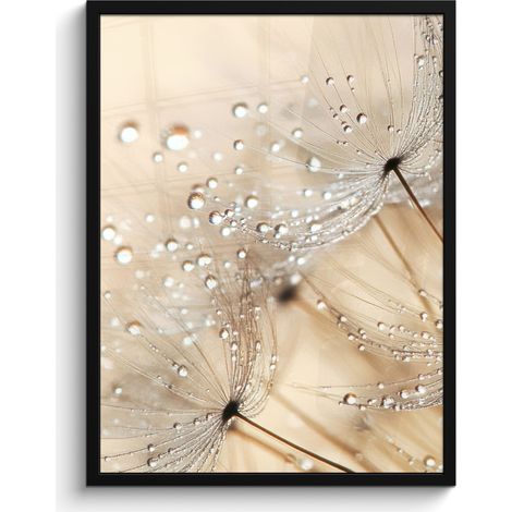 AFFICHE ENCADRÉE Pissenlit - Abstrait - Nature - Beige Tableau Décoration Murale 60x80 (1/5)