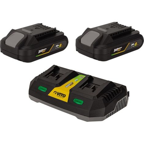 Pack 2 Batteries Lithium 20V 2Ah + Chargeur double Gamme sans fil EGO LI VITO (1/4)