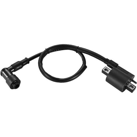 Bobine d'allumage de remplacement pour Polaris 90 PW50, KX60, KX65, KX80, KX85, KX125, KDX200 VTT, moto tout-terrain et karting (1/5)