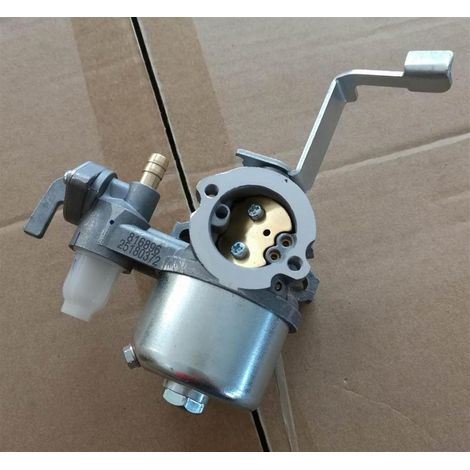 Vergaser passend für Briggs Stratton 796447 (1/5)