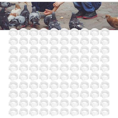 Bagues de Jarret d'Identification pour Pigeons 100PCS Diamètre 8mm Plastique Blanc Pour Poulets 100 Pièces Bracelets de Jarret sans Marque Approx. 13x12x5mm (1/5)