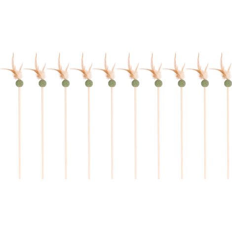 Jouet Interactif Chat - Lot de 10 Cannes à Plumes avec Boule d'Herbe à Chat en Bois Naturel pour Nettoyage Dentaire et Jeu (1/5)