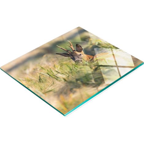 Tablero decorativo multifuncional de vidrio templado con dise帽o de campo de ciervos, 60x52 cm.