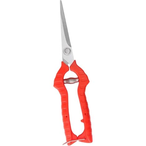 Scateur professionnel main pour jardinage 168 (1/5)