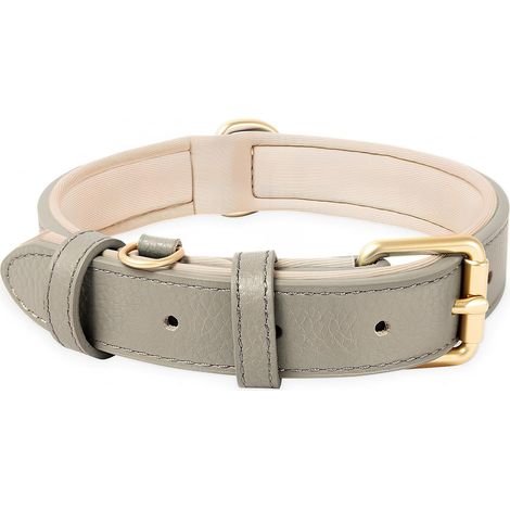 Collier pour Chien, en Cuir, Collier de Chien Ajustable Coussin Moelleux Cuir Nouvelle Couleur de Rembourrage pour Petits, Moyens ou Grands Chiens, Nouveau Gris, S (1/5)