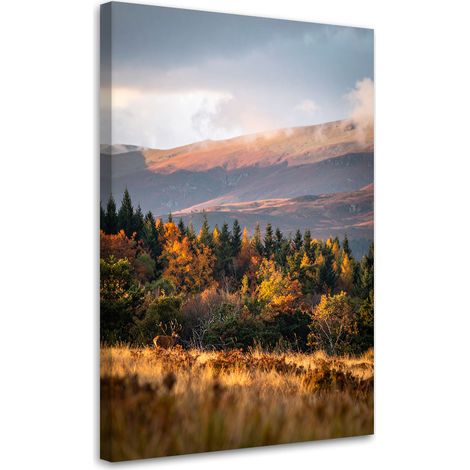 Cuadro en Lienzo, Paisaje montañas valles naturaleza, 20x30 (1/5)