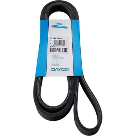 6dpk1817 cinghia poly-v alternatore servizi marca dayco (1/5)