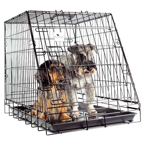 Autokäfige IBÁÑEZ PLUS LARGE CAR CAGE (1/5)