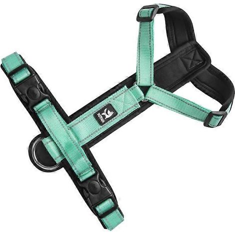 Verstellbares Hundeleinen-Set, Brust- und Rückenleine, weiches und niedliches Seil für Spaziergänge im Freien, hellcyan (Größe S).