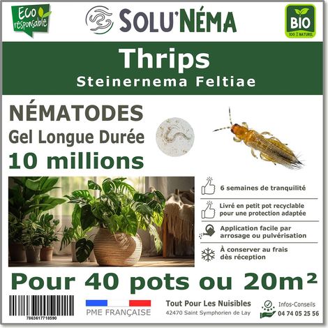 Traitement Thrips - 10 millions Nématodes SF