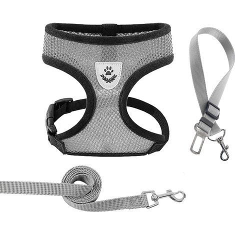Harnais pour chat et petit chien avec laisse réglable en maille respirante (1/5)
