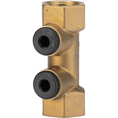Watts – Clapet anti-pollution NF laiton FF 15x21 – Prévention pollution réseaux d'eau – 2 purges pour entretien facilité – Filetage plomberie (1/4)