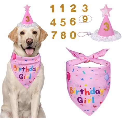 QORVA-Écharpe triangulaire rose de 27,5 pouces de long, chapeau de 3,5  4,5 pouces avec chiffres, ensemble de 3 pièces pour anniversaire de chien