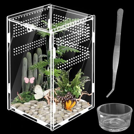 Acryl-Terrarium, Magnettür, optimale Belüftung, Lebensraum für Reptilien und Insekten (1/5)