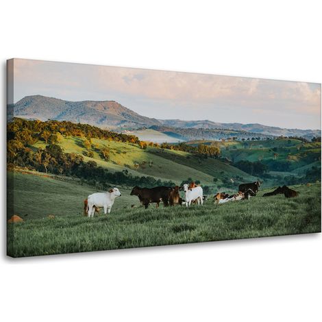 Leinwanddruck „Natur, Weide und Kühe“, 80 x 40 cm