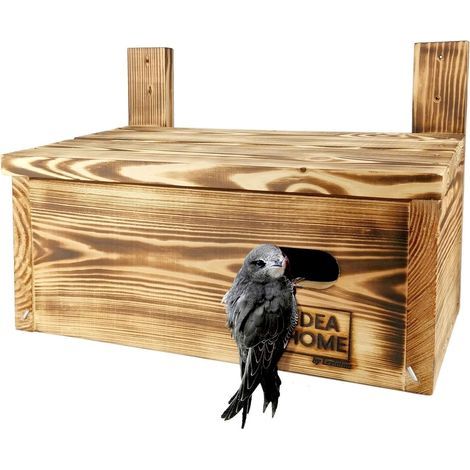 massiver, unbehandelter Mauersegler-Nistkasten aus Holz, Maße 38x21x28,5cm, sofort einsatzbereit für städtische Fassaden (1/5)