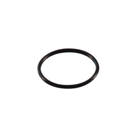 O-Ring Profi 102 AL-KO AK401495