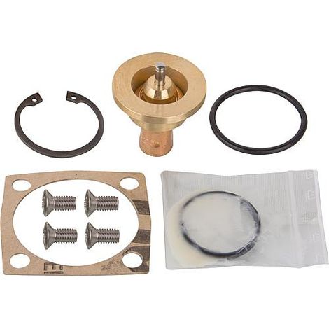 Insert thermostat 66°C convient pour Thermovar (1/3)