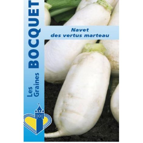 Navet 'Des Vertus Marteau' le sachet de 2000 graines (5g) (1/2)