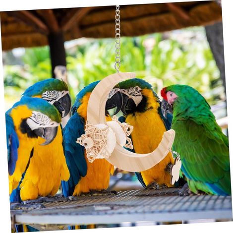 Parrot Balance Training Toy, Multi-function Cage Perch Stand Exercise Frame for Parakeets (1/4)