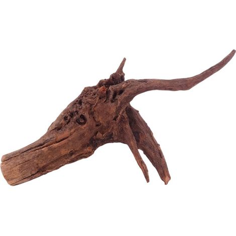 L Driftwood Flußwurzel Nr.4862 Holz Deko Aquascaping