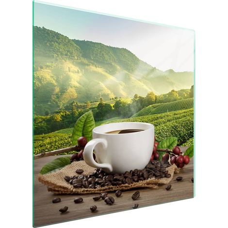 Protezione in vetro per piano cottura 50x52 Caffè (1/5)
