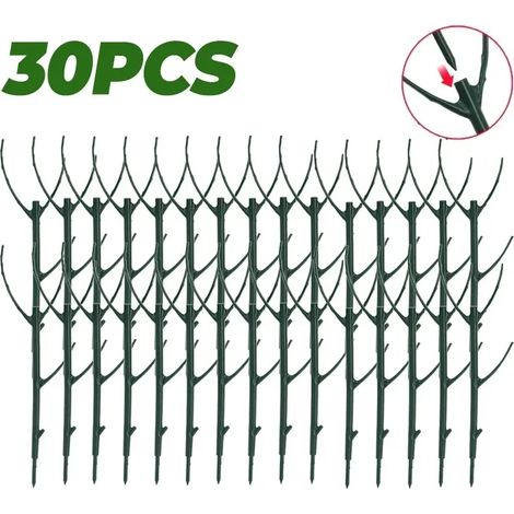 (30 pièces) Tuteur pour plantes grimpantes, piquet de fixation pour bonsaï, support pour plantes de jardin, support pour fleurs en pot (1/4)