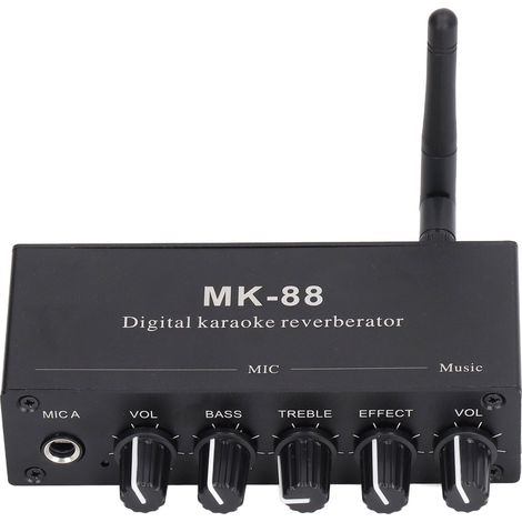 Digital Reverberator Stereo Amplifier Bluetooth 5.0 Dual Microphone Input DC 12V (1/5)